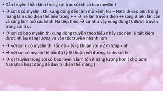 • Dẫn truyền thần kinh trong sợi trục có/kh có bao myelin ?
•  sợi k có myelin : khi xung động đến làm mở kênh Na – Natri đi vào bên trong
màng làm cho điện thế bên trong + +  sẽ lan truyền điện ++ sang 2 bên lân cận
và cũng làm mở các kênh Na tiếp theo  cứ như vậy xung động tk được truyền
trong sợi trục
•  sợi có bao myelin thì xung động truyền theo kiểu nhảy cóc nên là tiết kiệm
được nhiều năng lượng và vận tốc truyền nhanh hơn
•  với sợi k có myelin thì tốc độ = tỷ lệ thuận với 2 đường kính
•  với sợi có myelin thì tốc độ tỷ lệ thuận với đường kinhs sợi tk
•  qt truyền trong sợi có bao myelin làm tốn ít năng lượng hơn ( cho bơm
Natri,Kali hoạt động để duy trì điện thế màng )
 