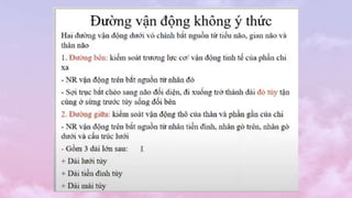 Module Thần Kinh.pptx