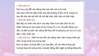 Module Thần Kinh.pptx