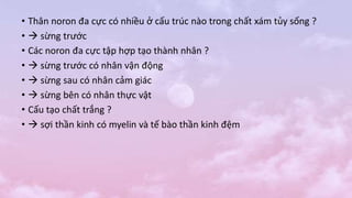 • Thân noron đa cực có nhiều ở cấu trúc nào trong chất xám tủy sống ?
•  sừng trước
• Các noron đa cực tập hợp tạo thành nhân ?
•  sừng trước có nhân vận động
•  sừng sau có nhân cảm giác
•  sừng bên có nhân thực vật
• Cấu tạo chất trắng ?
•  sợi thần kinh có myelin và tế bào thần kinh đệm
 