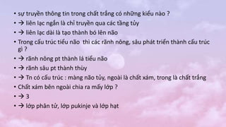 • sự truyền thông tin trong chất trắng có những kiểu nào ?
•  liên lạc ngắn là chỉ truyền qua các tầng tủy
•  liên lạc dài là tạo thành bó lên não
• Trong cấu trúc tiểu não thì các rãnh nông, sâu phát triển thành cấu trúc
gì ?
•  rãnh nông pt thành lá tiểu não
•  rãnh sâu pt thành thùy
•  Tn có cấu trúc : màng não tủy, ngoài là chất xám, trong là chất trắng
• Chất xám bên ngoài chia ra mấy lớp ?
•  3
•  lớp phân tử, lớp pukinje và lớp hạt
 