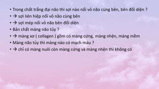 • Trong chất trắng đại não thì sợi nào nối vỏ não cùng bên, bên đối diện ?
•  sợi liên hiệp nối vỏ não cùng bên
•  sợi mép nối vỏ não bên đối diện
• Bản chất màng não tủy ?
•  màng xơ ( collagen ) gồm có màng cứng, màng nhện, màng mềm
• Màng não tủy thì màng nào có mạch máu ?
•  chỉ có màng nuôi còn màng cứng và màng nhện thì không có
 