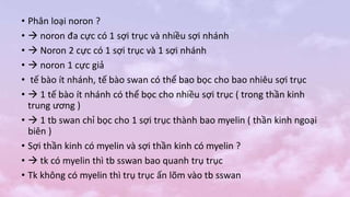• Phân loại noron ?
•  noron đa cực có 1 sợi trục và nhiều sợi nhánh
•  Noron 2 cực có 1 sợi trục và 1 sợi nhánh
•  noron 1 cực giả
• tế bào ít nhánh, tế bào swan có thể bao bọc cho bao nhiêu sợi trục
•  1 tế bào ít nhánh có thể bọc cho nhiều sợi trục ( trong thần kinh
trung ương )
•  1 tb swan chỉ bọc cho 1 sợi trục thành bao myelin ( thần kinh ngoại
biên )
• Sợi thần kinh có myelin và sợi thần kinh có myelin ?
•  tk có myelin thì tb sswan bao quanh trụ trục
• Tk không có myelin thì trụ trục ấn lõm vào tb sswan
 