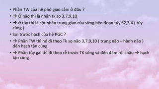 • Phần TW của hệ phó giao cảm ở đâu ?
•  Ở não thì là nhân tk sọ 3,7,9,10
•  ở tủy thì là cột nhân trung gian của sừng bên đoạn tủy S2,3,4 ( tủy
cùng )
• Sợi trước hạch của hệ PGC ?
•  Phần TW thì nó đi theo Tk sọ não 3,7,9,10 ( trung não – hành não )
đến hạch tận cùng
•  Phần tủy gai thì đi theo rễ trước TK sống và đến đám rối chậu  hạch
tận cùng
 