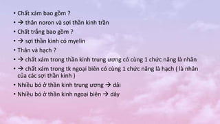 • Chất xám bao gồm ?
•  thân noron và sợi thần kinh trần
• Chất trắng bao gồm ?
•  sợi thần kinh có myelin
• Thân và hạch ?
•  chất xám trong thần kinh trung ương có cùng 1 chức năng là nhân
•  chất xám trong tk ngoại biên có cùng 1 chức năng là hạch ( là nhân
của các sợi thần kinh )
• Nhiều bó ở thần kinh trung ương  dải
• Nhiều bó ở thần kinh ngoại biên  dây
 