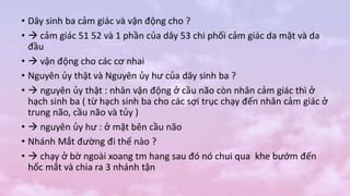 • Dây sinh ba cảm giác và vận động cho ?
•  cảm giác 51 52 và 1 phần của dây 53 chi phối cảm giác da mặt và da
đầu
•  vận động cho các cơ nhai
• Nguyên ủy thật và Nguyên ủy hư của dây sinh ba ?
•  nguyên ủy thật : nhân vận động ở cầu não còn nhân cảm giác thì ở
hạch sinh ba ( từ hạch sinh ba cho các sợi trục chạy đến nhân cảm giác ở
trung não, cầu não và tủy )
•  nguyên ủy hư : ở mặt bên cầu não
• Nhánh Mắt đường đi thế nào ?
•  chạy ở bờ ngoài xoang tm hang sau đó nó chui qua khe bướm đến
hốc mắt và chia ra 3 nhánh tận
 