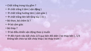 • Chất trắng trong tủy gồm ?
•  chất trắng li tâm ( vận động )
•  chất trắng hướng tâm ( cảm giác )
•  chất trắng liên kết tầng tủy ( 31 )
• Bó thon, bó chêm là ?
•  bó cảm giác
• Bó tháp ?
•  bó điều khiển vận động theo ý muốn
•  đến hành não bắt chéo 2/3 qua bên đối diện ( bó tháp bên ), 1/3
không bắt chéo tại bắt chép tháp ( bó tháp trước )
 
