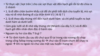 • Từ thực vật ( bọt trên ) cho các sợi thực vật đến hạch gối rồi từ đó chia ra
2 nhánh
• 1. là đi đến chân bướm khẩu cái để chi phối tiết dịch cho tuyến lệ, mà sợi
này nó đi nhờ đường đi của thần kinh V1 ( tk lệ ? )
• 2. là đi theo dây thừng nhĩ đến hạch dưới hàm và chi phối tuyến nc bọt
dưới hàm và dưới lưỡi
• Cảm giác lưỡi sẽ đi nhờ dây thừng nhĩ (Nhánh của dây 5.3 ) và đi đến
hạch gối đến nhân đơn độc ở hành não
• Nguyen ủy hư của dây 7 là gì ?
•  Từ rãnh hành cầu sau đó chui qua lỗ tai trong vào xương đá chạy
trong cống fallop trong xương đá  chui vào lỗ tram chum để chạy ra
ngoài  khi ra ngoài nó chui vào mặt sau tuyến mang tai
 