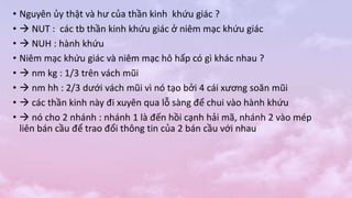 • Nguyên ủy thật và hư của thần kinh khứu giác ?
•  NUT : các tb thần kinh khứu giác ở niêm mạc khứu giác
•  NUH : hành khứu
• Niêm mạc khứu giác và niêm mạc hô hấp có gì khác nhau ?
•  nm kg : 1/3 trên vách mũi
•  nm hh : 2/3 dưới vách mũi vì nó tạo bởi 4 cái xương soăn mũi
•  các thần kinh này đi xuyên qua lỗ sàng để chui vào hành khứu
•  nó cho 2 nhánh : nhánh 1 là đến hồi cạnh hải mã, nhánh 2 vào mép
liên bán cầu để trao đổi thông tin của 2 bán cầu với nhau
 