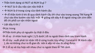 • Thần kinh dạng có NUT và NUH là gì ?
•  NUT là ở cầu não sàn não thất 4
•  NUH là ở trong cùng của rãnh hành cầu
•  rễ thần kinh 6 khi đi qua rãnh hành cầu thì chui vào trong xoang TM hang
chui vào khe bướm vào hốc mắt  giống với dây 4 đi ngoài vòng cân zinn đến
để chi phối cơ vận nhãn ngoài
• Liệt dây 6 thì /
Lác trong
Thần kinh phụ có nguyên ủy thật ở đâu
 rễ sọ : ở nhân hoài nghi ( 1/3 dưới ) đi ra ngoài theo rãnh sau tram hành
 rễ tủy : xuất phát từ nhân VĐ ở sừng trước tủy sống ( Cervical 6  Hành não
), do nó không chui ra lỗ gian đs nên k xếp nó vào tk sống được
 2 rễ sọ và tủy hợp với nhau chui ra ngoài theo lỗ TM cảnh
 