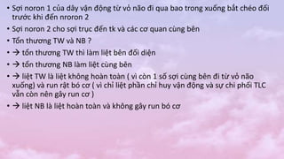 • Sợi noron 1 của dây vận động từ vỏ não đi qua bao trong xuống bắt chéo đối
trước khi đến nroron 2
• Sợi noron 2 cho sợi trục đến tk và các cơ quan cùng bên
• Tổn thương TW và NB ?
•  tổn thương TW thì làm liệt bên đối diện
•  tổn thương NB làm liệt cùng bên
•  liệt TW là liệt không hoàn toàn ( vì còn 1 số sợi cùng bên đi từ vỏ não
xuống) và run rật bó cơ ( vì chỉ liệt phần chỉ huy vận động và sự chi phối TLC
vẫn còn nên gây run cơ )
•  liệt NB là liệt hoàn toàn và không gây run bó cơ
 