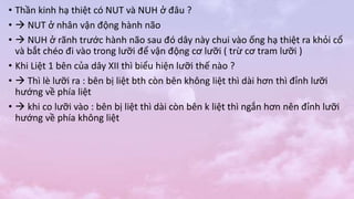 • Thần kinh hạ thiệt có NUT và NUH ở đâu ?
•  NUT ở nhân vận động hành não
•  NUH ở rãnh trước hành não sau đó dây này chui vào ống hạ thiệt ra khỏi cổ
và bắt chéo đi vào trong lưỡi để vận động cơ lưỡi ( trừ cơ tram lưỡi )
• Khi Liệt 1 bên của dây XII thì biểu hiện lưỡi thế nào ?
•  Thì lè lưỡi ra : bên bị liệt bth còn bên không liệt thì dài hơn thì đỉnh lưỡi
hướng về phía liệt
•  khi co lưỡi vào : bên bị liệt thì dài còn bên k liệt thì ngắn hơn nên đỉnh lưỡi
hướng về phía không liệt
 