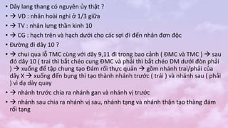 • Dây lang thang có nguyên ủy thật ?
•  VĐ : nhân hoài nghi ở 1/3 giữa
•  TV : nhân lưng thần kinh 10
•  CG : hạch trên và hạch dưới cho các sợi đi đến nhân đơn độc
• Đường đi dây 10 ?
•  chui qua lỗ TMC cùng với dây 9,11 đi trong bao cảnh ( ĐMC và TMC )  sau
đó dây 10 ( trai thì bắt chéo cung ĐMC và phải thì bắt chéo DM dưới đòn phải
)  xuống để tập chung tạo Đám rối thực quản  gồm nhánh trai/phải của
dây X  xuống đến bụng thì tạo thành nhánh trước ( trái ) và nhánh sau ( phải
) vì dạ dày quay
•  nhánh trước chia ra nhánh gan và nhánh vị trước
•  nhánh sau chia ra nhánh vị sau, nhánh tạng và nhánh thận tạo thàng đám
rối tạng
 