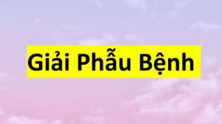 Giải Phẫu Bệnh
 
