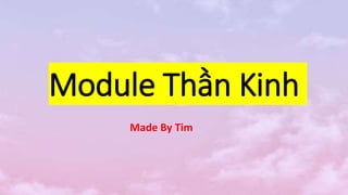 Module Thần Kinh
Made By Tim
 