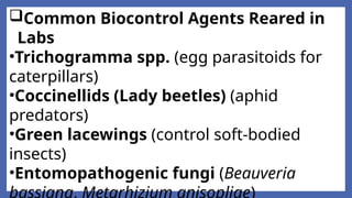 Module V-Methods and Approaches in Biological Control.pptx