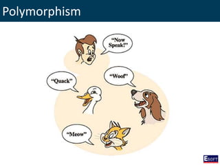 Polymorphism
 