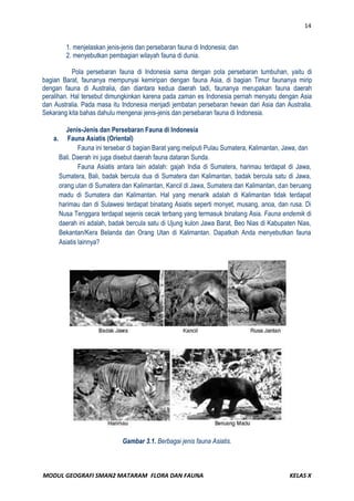 Modul geografi flora dan fauna