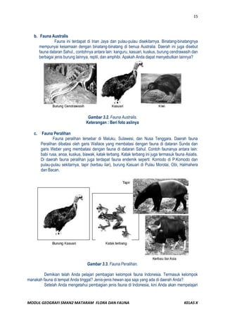 Modul geografi flora dan fauna
