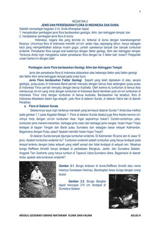 Data di atas belum termasuk flora langkanya atau yang dinyatakan langka. Berarti semakin banyak fauna dan flora di negeri kita yang terancam punah.Sejak tahun 1980, beberapa kawasan cagar alam atau suaka margasatwa telah diubah statusnya menjadi Taman Nasional. Dewasa ini terdapat 320 tempat untuk Taman Nasional dan Hutan Lindung, antara lain di Sumatera, Irian Jaya, Jawa, Kalimantan, dan Sulawesi. Taman nasional dan hutan lindung mempunyai fungsi sebagai:• perlindungan sistem penyangga kehidupan.• pengawetan jenis tumbuhan dan hewan.• pelestarian pemanfaatan sumber daya hayati dan tata lingkungan.