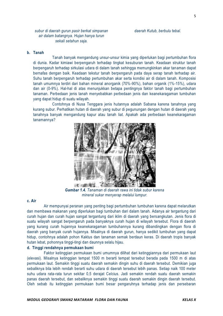 Modul geografi flora dan fauna Modul geografi flora dan fauna