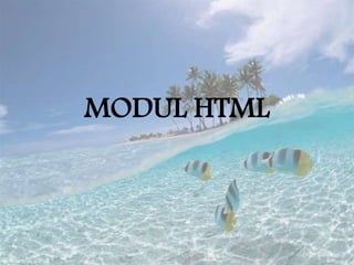 Modul HTML | PPT