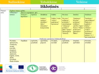 Sužinokime Tobulėkime Veikime
Išklotinės
 