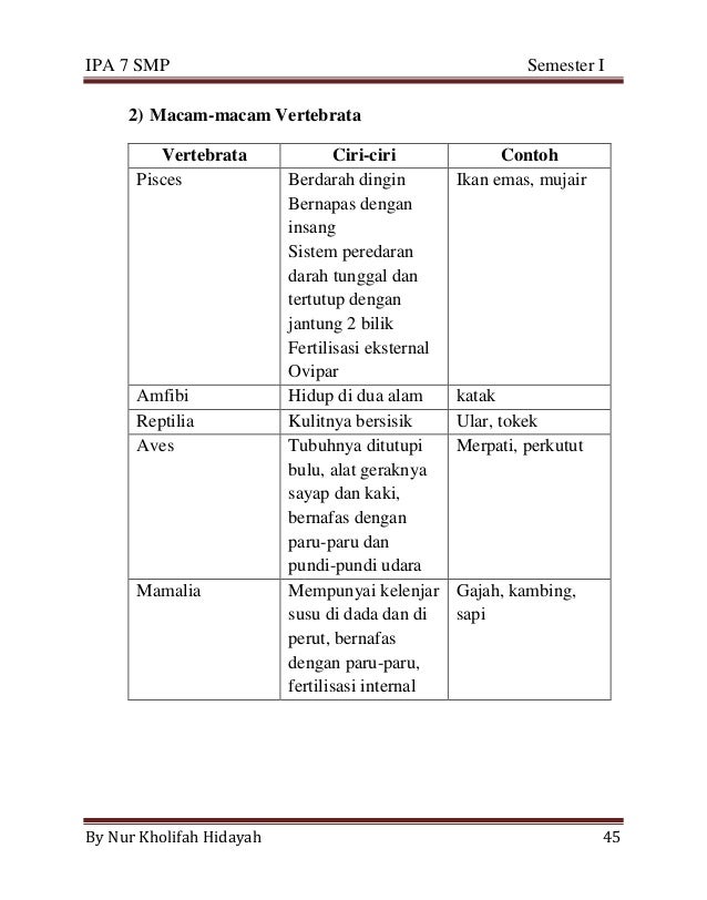 Modul ipa 7 smp semester 1