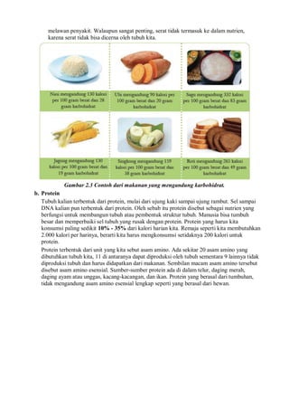 melawan penyakit. Walaupun sangat penting, serat tidak termasuk ke dalam nutrien,
karena serat tidak bisa dicerna oleh tubuh kita.
Gambar 2.3 Contoh dari makanan yang mengandung karbohidrat.
b. Protein
Tubuh kalian terbentuk dari protein, mulai dari ujung kaki sampai ujung rambut. Sel sampai
DNA kalian pun terbentuk dari protein. Oleh sebab itu protein disebut sebagai nutrien yang
berfungsi untuk membangun tubuh atau pembentuk struktur tubuh. Manusia bisa tumbuh
besar dan memperbaiki sel tubuh yang rusak dengan protein. Protein yang harus kita
konsumsi paling sedikit 10% - 35% dari kalori harian kita. Remaja seperti kita membutuhkan
2.000 kalori per harinya, berarti kita harus mengkonsumsi setidaknya 200 kalori untuk
protein.
Protein terbentuk dari unit yang kita sebut asam amino. Ada sekitar 20 asam amino yang
dibutuhkan tubuh kita, 11 di antaranya dapat diproduksi oleh tubuh sementara 9 lainnya tidak
diproduksi tubuh dan harus didapatkan dari makanan. Sembilan macam asam amino tersebut
disebut asam amino esensial. Sumber-sumber protein ada di dalam telur, daging merah,
daging ayam atau unggas, kacang-kacangan, dan ikan. Protein yang berasal dari tumbuhan,
tidak mengandung asam amino esensial lengkap seperti yang berasal dari hewan.
 