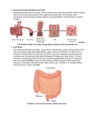 e. Proses penyerapan di dalam usus halus
Setelah pencernaan kimiawi selesai, molekul nutrien siap untuk diserap tubuh. Struktur bagian
dalam usus berupa lipatan-lipatan kecil seperti jari yang disebut villi, berguna untuk
memperluas area penyerapan. Berikut gambar yang menunjukkan struktur dalam usus halus
tersebut.
Gambar
2.14 Struktur dalam usus halus berupa lipatan-lipatan kecil yang disebut vili
f. Usus Besar
Saat makanan mencapai usus halus, semua nutrisi telah diserap, yang tersisa hanyalah air dan
sisa-sisa makanan yang tidak dapat dicerna, seperti serat atau biji-bijian. Air dan sisa-sisa
makanan tersebut dibawa ke usus besar. Di dalam usus besar terjadi proses penyerapan air,
sementara sisa-sisa makanan siap untuk dikeluarkan. Panjang usus besar sekitar 1,5 meter.
Usus besar mengandung bakteri baik yang membantu pembentukan Vitamin K. Akhir dari
usus besar adalah rektum, tempat sisa-sisa makanan ditekan menjadi bentuk padat. Sisa
makanan ini kemudian dikeluarkan dari tubuh melalui anus. Gambar 2.15 memperlihatkan
letak usus besar, rektum, dan anus.
Gambar 2.15 Posisi usus besar, rektum, dan anus.
 