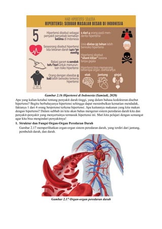 Gambar 2.16 Hipertensi di Indonesia (Samiadi, 2020)
Apa yang kalian ketahui tentang penyakit darah tinggi, yang dalam bahasa kedokteran disebut
hipertensi? Begitu berbahayanya hipertensi sehingga dapat menimbulkan kematian mendadak,
faktanya 1 dari 4 orang berpotensi terkena hipertensi. Apa kaitannya makanan yang kita makan
dengan hipertensi? Dalam subbab ini kita akan bahas mengenai sistem peredaran darah kita dan
penyakit-penyakit yang menyertainya termasuk hipertensi ini. Mari kita pelajari dengan semangat
agar kita bisa mengindari penyakitnya!
1. Struktur dan Fungsi Organ-Organ Peredaran Darah
Gambar 2.17 memperlihatkan organ-organ sistem peredaran darah, yang terdiri dari jantung,
pembuluh darah, dan darah.
Gambar 2.17 Organ-organ peredaran darah
 