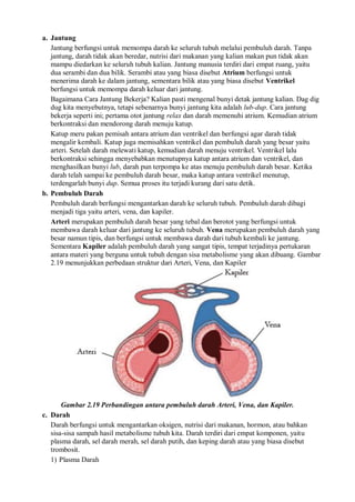 a. Jantung
Jantung berfungsi untuk memompa darah ke seluruh tubuh melalui pembuluh darah. Tanpa
jantung, darah tidak akan beredar, nutrisi dari makanan yang kalian makan pun tidak akan
mampu diedarkan ke seluruh tubuh kalian. Jantung manusia terdiri dari empat ruang, yaitu
dua serambi dan dua bilik. Serambi atau yang biasa disebut Atrium berfungsi untuk
menerima darah ke dalam jantung, sementara bilik atau yang biasa disebut Ventrikel
berfungsi untuk memompa darah keluar dari jantung.
Bagaimana Cara Jantung Bekerja? Kalian pasti mengenal bunyi detak jantung kalian. Dag dig
dug kita menyebutnya, tetapi sebenarnya bunyi jantung kita adalah lub-dup. Cara jantung
bekerja seperti ini; pertama otot jantung relax dan darah memenuhi atrium. Kemudian atrium
berkontraksi dan mendorong darah menuju katup.
Katup meru pakan pemisah antara atrium dan ventrikel dan berfungsi agar darah tidak
mengalir kembali. Katup juga memisahkan ventrikel dan pembuluh darah yang besar yaitu
arteri. Setelah darah melewati katup, kemudian darah menuju ventrikel. Ventrikel lalu
berkontraksi sehingga menyebabkan menutupnya katup antara atrium dan ventrikel, dan
menghasilkan bunyi lub, darah pun terpompa ke atas menuju pembuluh darah besar. Ketika
darah telah sampai ke pembuluh darah besar, maka katup antara ventrikel menutup,
terdengarlah bunyi dup. Semua proses itu terjadi kurang dari satu detik.
b. Pembuluh Darah
Pembuluh darah berfungsi mengantarkan darah ke seluruh tubuh. Pembuluh darah dibagi
menjadi tiga yaitu arteri, vena, dan kapiler.
Arteri merupakan pembuluh darah besar yang tebal dan berotot yang berfungsi untuk
membawa darah keluar dari jantung ke seluruh tubuh. Vena merupakan pembuluh darah yang
besar namun tipis, dan berfungsi untuk membawa darah dari tubuh kembali ke jantung.
Sementara Kapiler adalah pembuluh darah yang sangat tipis, tempat terjadinya pertukaran
antara materi yang berguna untuk tubuh dengan sisa metabolisme yang akan dibuang. Gambar
2.19 menunjukkan perbedaan struktur dari Arteri, Vena, dan Kapiler
Gambar 2.19 Perbandingan antara pembuluh darah Arteri, Vena, dan Kapiler.
c. Darah
Darah berfungsi untuk mengantarkan oksigen, nutrisi dari makanan, hormon, atau bahkan
sisa-sisa sampah hasil metabolisme tubuh kita. Darah terdiri dari empat komponen, yaitu
plasma darah, sel darah merah, sel darah putih, dan keping darah atau yang biasa disebut
trombosit.
1) Plasma Darah
 