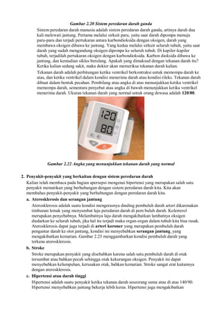 Gambar 2.20 Sistem peredaran darah ganda
Sistem peredaran darah manusia adalah sistem peredaran darah ganda, artinya darah dua
kali melewati jantung. Pertama melalui sirkuit paru, yaitu saat darah dipompa menuju
paru-paru dan terjadi pertukaran antara karbondioksida dengan oksigen, darah yang
membawa oksigen dibawa ke jantung. Yang kedua melalui sirkuit seluruh tubuh, yaitu saat
darah yang sudah mengandung oksigen dipompa ke seluruh tubuh. Di kapiler-kapiler
tubuh, terjadilah pertukaran oksigen dengan karbondioksida. Karbon dioksida dibawa ke
jantung, dan kemudian siklus berulang. Apakah yang dimaksud dengan tekanan darah itu?
Ketika kalian sedang sakit, maka dokter akan memeriksa tekanan darah kalian.
Tekanan darah adalah perhitungan ketika ventrikel berkontraksi untuk memompa darah ke
atas, dan ketika ventrikel dalam kondisi menerima darah atau kondisi rileks. Tekanan darah
dibuat dalam bentuk pecahan. Pembilang atau angka di atas menunjukkan ketika ventrikel
memompa darah, sementara penyebut atau angka di bawah menunjukkan ketika ventrikel
menerima darah. Ukuran tekanan darah yang normal untuk orang dewasa adalah 120/80.
Gambar 2.22 Angka yang menunjukkan tekanan darah yang normal
2. Penyakit-penyakit yang berkaitan dengan sistem peredaran darah
Kalian telah membaca pada bagian apersepsi mengenai hipertensi yang merupakan salah satu
penyakit mematikan yang berhubungan dengan sistem peredaran darah kita. Kita akan
membahas penyakit-penyakit yang berhubungan dengan peredaran darah kita.
a. Aterosklerosis dan serangan jantung
Aterosklerosis adalah suatu kondisi mengerasnya dinding pembuluh darah arteri dikarenakan
timbunan lemak yang menyumbat laju peredaran darah di pem buluh darah. Kolesterol
merupakan penyebabnya. Melambatnya laju darah mengakibatkan lambatnya oksigen
diedarkan ke seluruh tubuh, jika hal itu terjadi maka organ-organ dalam tubuh kita bisa rusak.
Aterosklerosis dapat juga terjadi di arteri koroner yang merupakan pembuluh darah
pengantar darah ke otot jantung, kondisi ini menyebabkan serangan jantung, yang
mengakibatkan kematian. Gambar 2.23 menggambarkan kondisi pembuluh darah yang
terkena aterosklerosis.
b. Stroke
Stroke merupakan penyakit yang disebabkan karena salah satu pembuluh darah di otak
tersumbat atau bahkan pecah sehingga otak kekurangan oksigen. Penyakit ini dapat
menyebabkan kelumpuhan, kerusakan otak, bahkan kematian. Stroke sangat erat kaitannya
dengan aterosklerosis.
c. Hipertensi atau darah tinggi
Hipertensi adalah suatu penyakit ketika tekanan darah seseorang sama atau di atas 140/90.
Hipertensi menyebabkan jantung bekerja lebih keras. Hipertensi juga mengakibatkan
 