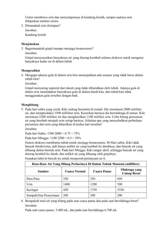 Ureter membawa urin dan menyimpannya di kandung kemih, sampai saatnya urin
dilepaskan melalui uretra.
2. Dimanakah urin disimpan?
Jawaban:
Kandung kemih
Menjelaskan
3. Bagaimanakah ginjal mampu menjaga homeostasis?
Jawaban:
Ginjal menyesuaikan banyaknya air yang diserap kembali selama ekskresi untuk mengatur
banyaknya kadar air di dalam tubuh
Memprediksi
4. Mengapa adanya gula di dalam urin kita menunjukkan ada sesuatu yang tidak beres dalam
tubuh kita?
Jawaban:
Ginjal menyaring material dari darah yang tidak dibutuhkan oleh tubuh. Adanya gula di
dalam urin menandakan banyaknya gula di dalam darah kita, dan tubuh kita tidak
menggunakan gula tersebut dengan baik.
Menghitung
5. Pada hari sabtu yang cerah, Kiki sedang bersantai di rumah. Dia meminum 2000 mililiter
air, dan memproduksi 1500 milliliter urin. Keesokan harinya dia berolahraga di taman. Kiki
meminum 2200 mililiter air dan menghasilkan 1100 mililiter urin. Coba hitung persentase
air yang berubah menjadi urin setiap harinya. Jelaskan apa yang menyebabkan perbedaan
persentase dari urin yang dihasilkan di kedua hari tersebut!
Jawaban:
Pada hari Sabtu: 1500 2000 = 0.75 = 75%
Pada hari Minggu: 1100 2200 = 0.5 = 50%
Sistem ekskresi membantu tubuh untuk menjaga homeostasis. Di Hari sabtu, Kiki tidak
banyak beraktivitas, jadi hanya sedikit air yang kembali ke darahnya, dan banyak air yang
dibuang dalam bentuk urin. Pada hari Minggu, Kiki sangat aktif, sehingga banyak air yang
diserap kembali ke darah, dan sedikit air yang dibuang oleh ginjalnya.
Gunakan tabel di bawah ini untuk menjawab pertanyaan no 6.
Rata-Rata Air Yang Hilang Perharinya Di Dalam Tubuh Manusia (milliliter)
Sumber Cuaca Normal Cuaca Panas
Olahraga yang
Cukup Berat
Paru-Paru 350 250 650
Urin 1400 1200 500
Keringat 450 1750 5350
Sampah/Sisa Pencernaan 200 200 200
6. Berapakah total air yang hilang pada saat cuaca panas dan pada saat berolahraga berat?
Jawaban:
Pada saat cuaca panas: 3.400 mL, dan pada saat berolahraga 6.700 mL
 