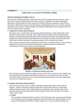 LAMPIRAN 2
BAHAN BACAAN GURU DAN PESERTA DIDIK
SISTEM EKSKRESI/ PEMBUANGAN
Dari beberapa subbab pembahasan sebelumnya kita telah mem pelajari tentang makanan, sistem
pencernaan, sistem peredaran darah, dan sistem respirasi. Di subbab ini kita akan mempelajari
bagaimana sampah-sampah sisa hasil metabolisme tubuh itu dibuang, bagaimana sistem ekskresi
memelihara tubuh kalian supaya tetap sehat dengan menghilangkan racun-racun tersebut, dan juga
bagaimana sistem ekskresi mampu menjaga keseimbangan tubuh bagian dalam dengan kondisi luar.
Ayo kita pelajari dengan semangat!
1. Fungsi dan Peranan Sistem Ekskresi
Bayangkan jika di rumah kalian, barang-barang begitu berantakan, rumah tidak disapu, kertas-
kertas ber serakan, debu menumpuk, serta sampah sejak dua minggu kemarin tidak dibuang.
Sampah yang tidak dibuang dan debu-debu yang menumpuk tentu akan menimbulkan penyakit.
Sampah sisa metabolisme jika tidak dibersihkan akan menjadi racun dan membuat kalian sakit.
Oleh sebab itu tubuh kalian perlu membuang sampah sisa-sisa metabolisme tersebut.
Proses untuk membuang sampah-sampah hasil metabolisme ini disebut ekskresi. Sistem di dalam
tubuh manusia yang ber peran untuk membersihkan sampah-sampah hasil metabolisme
melakukannya disebut sistem ekskresi atau pembuangan.
Gambar 2.36 Ilustrasi ruangan yang kotor
Sistem ekskresi manusia terdiri dari ginjal, paruparu, kulit, dan liver atau hati. Dua sampah yang
harus dikeluarkan dari tubuh kalian adalah sisa air dan urea. Urea adalah zat kimia sisa hasil
pemecahan protein. Sementara sisa air yang dikeluarkan adalah berupa urine yang mengandung
urea dan sisa metabolisme lainnya.
2. Struktur dan Organ Sistem Ekskresi
Ginjal, paru-paru, kulit, dan liver adalah organorgan yang berperan dalam sistem ekskresi
manusia. Ekskresi membantu menjaga homeostasis di dalam tubuh manusia. Homeostasis
adalah mekanisme tubuh untuk mempertahankan keseimbangan antara kondisi dalam tubuh
dengan kondisi luar tubuh, agar tubuh berfungsi dengan normal. Kita akan bahas satu persatu
organ-organ tersebut
a. Ginjal
Kita memiliki dua buah ginjal kiri dan kanan. Ginjal berfungsi untuk menyaring darah dengan
cara membuang urea dan sampah metabolisme dari dalam darah dan mempertahankan zat-zat
yang masih dibutuhkan oleh tubuh. Sampah-sampah atau zat sisa ini dibuang melalui urin.
 