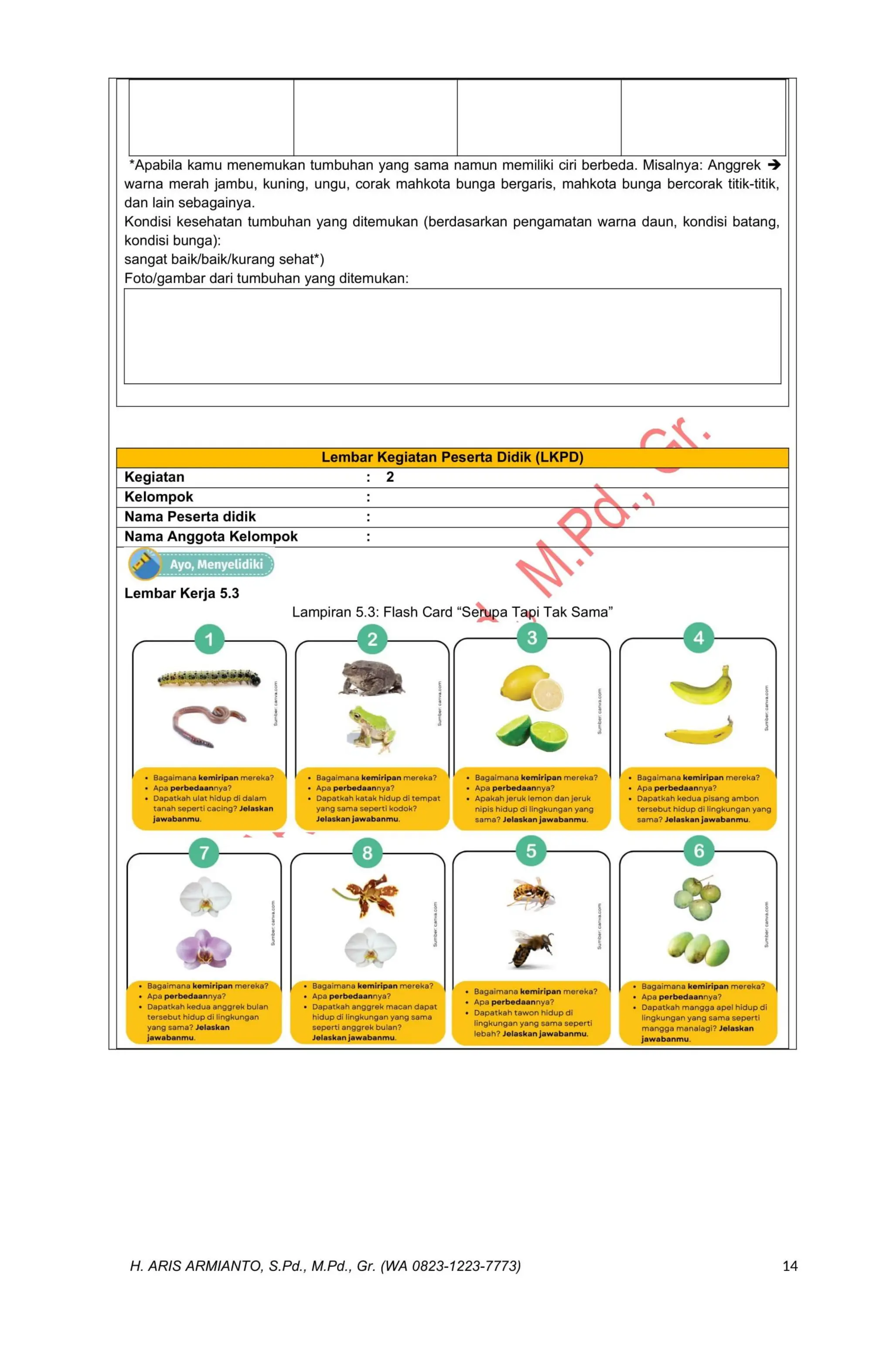 MODUL AJAR IPAS KELAS 4 REVISI TERBARU CP 032 KURIKULUM MERDEKA ...