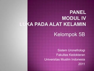 Kelompok 5B
Sistem Uronefrologi
Fakultas Kedokteran
Universitas Muslim Indonesia
2011

 