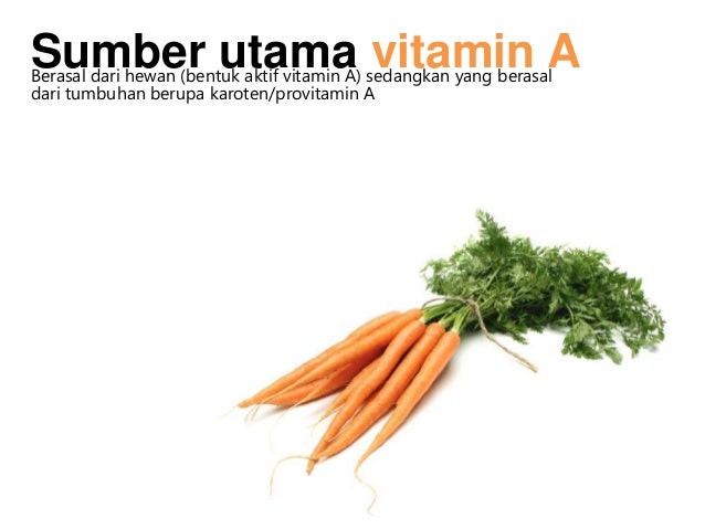 Poster tentang gizi PENGANTAR ILMU GIZI