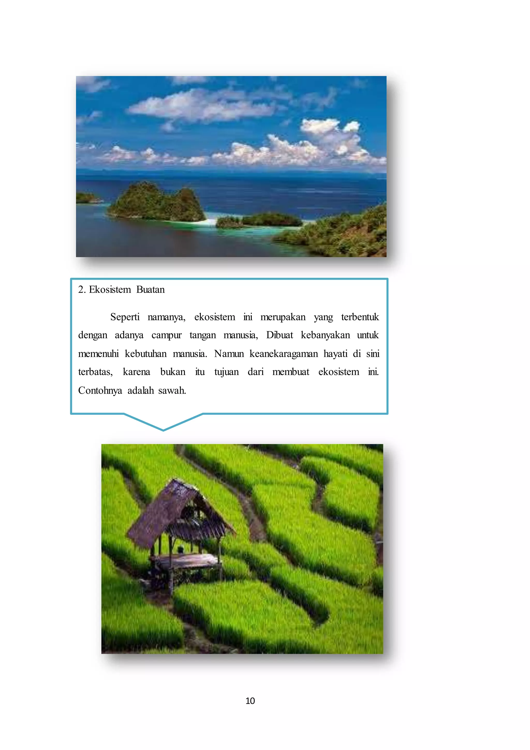 10
2. Ekosistem Buatan
Seperti namanya, ekosistem ini merupakan yang terbentuk
dengan adanya campur tangan manusia, Dibuat kebanyakan untuk
memenuhi kebutuhan manusia. Namun keanekaragaman hayati di sini
terbatas, karena bukan itu tujuan dari membuat ekosistem ini.
Contohnya adalah sawah.
 