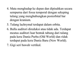 4. Mata menghadap ke depan dan dipisahkan secara
sempurna dari fossa temporal dengan sekeping
tulang yang menghubungkan postorbital bar
dengan kranium.
5. Tulang lachrymal terdapat dalam orbita.
6. Bulla auditori direduksi atau tidak ada. Terdapat
meatus auditori luar bentuk tabung dari tulang
pada kera Dunia Purba (Old World) dan ridak
terdapat pada kera Dunia Baru (New World).
7. Gigi seri bawah vertikal.
 