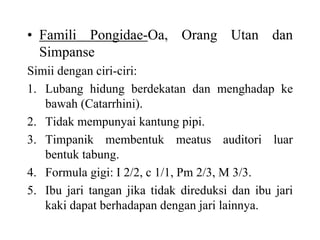 • Famili Pongidae-Oa, Orang Utan dan
Simpanse
Simii dengan ciri-ciri:
1. Lubang hidung berdekatan dan menghadap ke
bawah (Catarrhini).
2. Tidak mempunyai kantung pipi.
3. Timpanik membentuk meatus auditori luar
bentuk tabung.
4. Formula gigi: I 2/2, c 1/1, Pm 2/3, M 3/3.
5. Ibu jari tangan jika tidak direduksi dan ibu jari
kaki dapat berhadapan dengan jari lainnya.
 