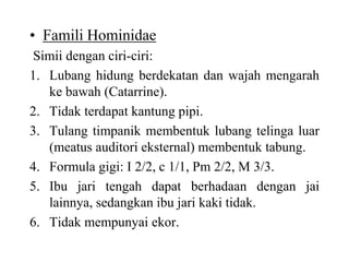 • Famili Hominidae
Simii dengan ciri-ciri:
1. Lubang hidung berdekatan dan wajah mengarah
ke bawah (Catarrine).
2. Tidak terdapat kantung pipi.
3. Tulang timpanik membentuk lubang telinga luar
(meatus auditori eksternal) membentuk tabung.
4. Formula gigi: I 2/2, c 1/1, Pm 2/2, M 3/3.
5. Ibu jari tengah dapat berhadaan dengan jai
lainnya, sedangkan ibu jari kaki tidak.
6. Tidak mempunyai ekor.
 