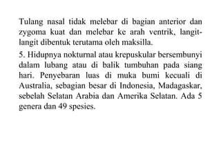 Tulang nasal tidak melebar di bagian anterior dan
zygoma kuat dan melebar ke arah ventrik, langit-
langit dibentuk terutama oleh maksilla.
5. Hidupnya nokturnal atau krepuskular bersembunyi
dalam lubang atau di balik tumbuhan pada siang
hari. Penyebaran luas di muka bumi kecuali di
Australia, sebagian besar di Indonesia, Madagaskar,
sebelah Selatan Arabia dan Amerika Selatan. Ada 5
genera dan 49 spesies.
 