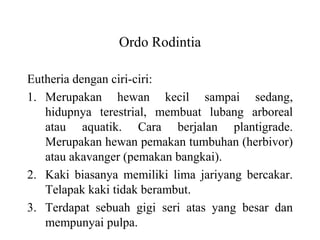 Ordo Rodintia
Eutheria dengan ciri-ciri:
1. Merupakan hewan kecil sampai sedang,
hidupnya terestrial, membuat lubang arboreal
atau aquatik. Cara berjalan plantigrade.
Merupakan hewan pemakan tumbuhan (herbivor)
atau akavanger (pemakan bangkai).
2. Kaki biasanya memiliki lima jariyang bercakar.
Telapak kaki tidak berambut.
3. Terdapat sebuah gigi seri atas yang besar dan
mempunyai pulpa.
 