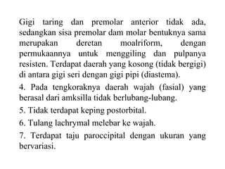 Gigi taring dan premolar anterior tidak ada,
sedangkan sisa premolar dam molar bentuknya sama
merupakan deretan moalriform, dengan
permukaannya untuk menggiling dan pulpanya
resisten. Terdapat daerah yang kosong (tidak bergigi)
di antara gigi seri dengan gigi pipi (diastema).
4. Pada tengkoraknya daerah wajah (fasial) yang
berasal dari amksilla tidak berlubang-lubang.
5. Tidak terdapat keping postorbital.
6. Tulang lachrymal melebar ke wajah.
7. Terdapat taju paroccipital dengan ukuran yang
bervariasi.
 