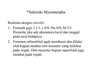 *Subordo Myromorpha
Rodentia dengan ciri-ciri:
1. Formula gigi: I 1/1, c 0/0, Pm 0/0, M 3/3.
Premolar jika ada ukurannya kecil dan tanggal
pada awal hidupnya.
2. Foramen infraorbital agak membesar dan dilalui
oleh bagian median otot messeter yang melekat
pada wajah. Otot messeter bagian superfisial juga
melekat pada wajah.
 