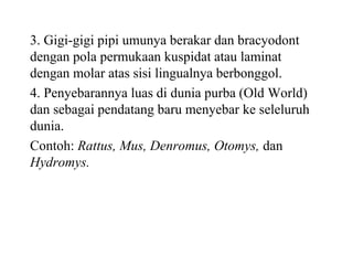 3. Gigi-gigi pipi umunya berakar dan bracyodont
dengan pola permukaan kuspidat atau laminat
dengan molar atas sisi lingualnya berbonggol.
4. Penyebarannya luas di dunia purba (Old World)
dan sebagai pendatang baru menyebar ke seleluruh
dunia.
Contoh: Rattus, Mus, Denromus, Otomys, dan
Hydromys.
 