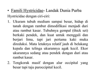 • Famili Hystricidae- Landak Dunia Purba
Hystricidae dengan ciri-ciri:
1. Ukuram tubuh medium sampai besar, hidup di
tanah dengan rambut dimodifikasi menjadi duri
atau rambut kasar. Tubuhnya gempal (thick set)
berkaki pendek, dan kuat untuk menggali dan
berjari lima, tapi jari pertama kaki muka
direduksi. Mata letaknya relatif jauh di belakang
kepala dan telinga ukurannya agak kecil. Ekor
ukurannya sedang atau pendek dengan duri atau
rambut kasar.
2. Tengkorak masif dengan alur occipital yang
besar tapi taju paroccipital kecil.
 