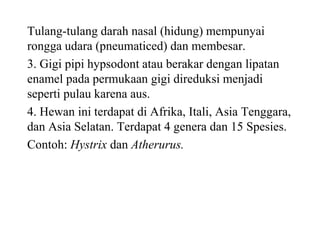 Tulang-tulang darah nasal (hidung) mempunyai
rongga udara (pneumaticed) dan membesar.
3. Gigi pipi hypsodont atau berakar dengan lipatan
enamel pada permukaan gigi direduksi menjadi
seperti pulau karena aus.
4. Hewan ini terdapat di Afrika, Itali, Asia Tenggara,
dan Asia Selatan. Terdapat 4 genera dan 15 Spesies.
Contoh: Hystrix dan Atherurus.
 