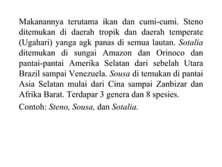 Makanannya terutama ikan dan cumi-cumi. Steno
ditemukan di daerah tropik dan daerah temperate
(Ugahari) yanga agk panas di semua lautan. Sotalia
ditemukan di sungai Amazon dan Orinoco dan
pantai-pantai Amerika Selatan dari sebelah Utara
Brazil sampai Venezuela. Sousa di temukan di pantai
Asia Selatan mulai dari Cina sampai Zanbizar dan
Afrika Barat. Terdapar 3 genera dan 8 spesies.
Contoh: Steno, Sousa, dan Sotalia.
 
